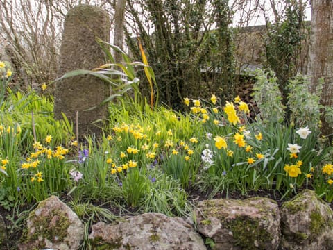 Cottage | Property grounds