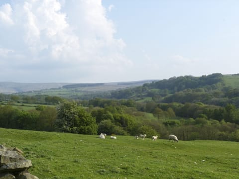 Cottage | Miscellaneous