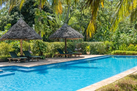 Outdoor pool, pool umbrellas, sun loungers