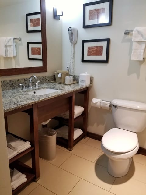 Combined shower/tub, free toiletries, hair dryer, towels