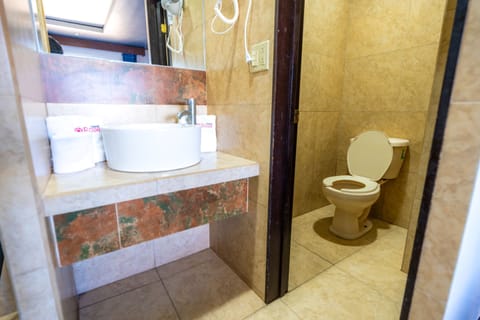 Superior Room | Bathroom | Shower, free toiletries, hair dryer, towels