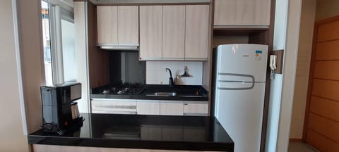 Premium Apartment | Private kitchen | Fridge, microwave, oven, blender