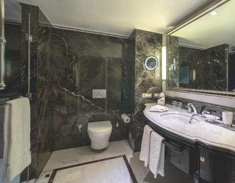 Standard Double or Twin Room | Bathroom | Separate tub and shower, rainfall showerhead, free toiletries