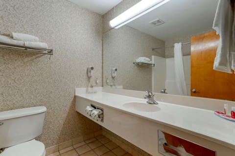 Combined shower/tub, free toiletries, hair dryer, towels