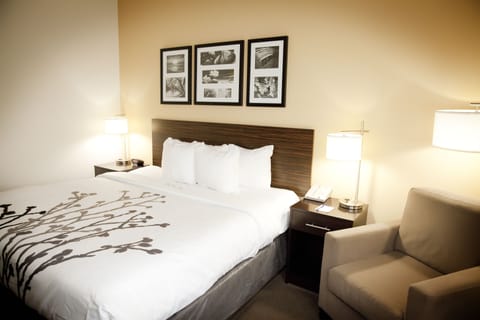 Standard Room, 1 King Bed, Non Smoking | Premium bedding, in-room safe, desk, laptop workspace