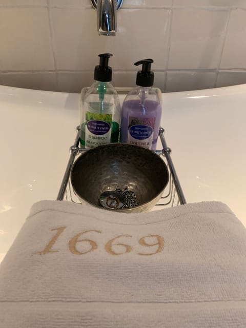 Deluxe Suite | Bathroom | Free toiletries, towels