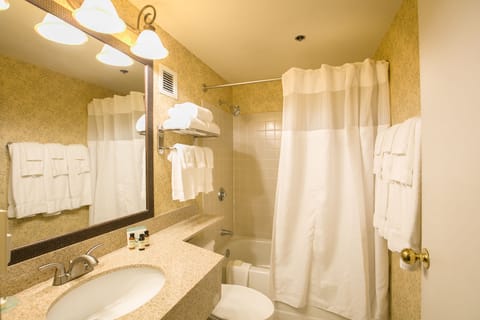 Combined shower/tub, hair dryer, towels