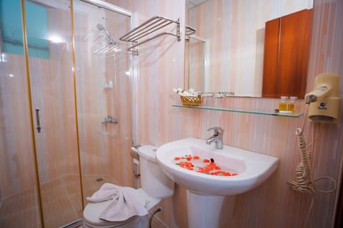 Shower, hydromassage showerhead, free toiletries, hair dryer