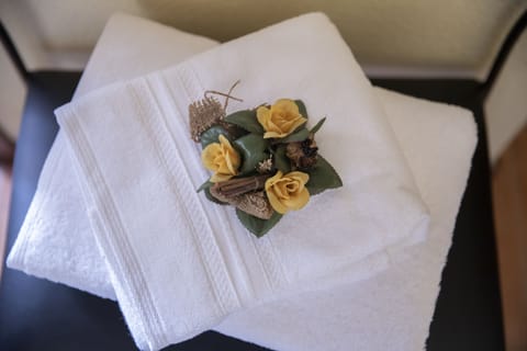 Double Room | Room amenity