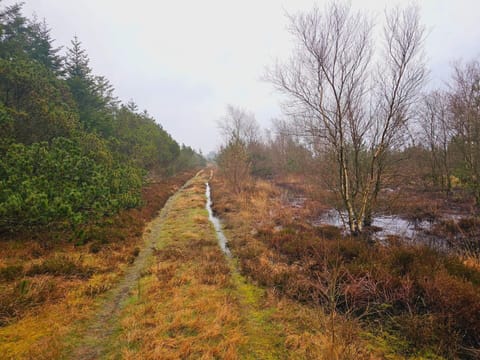 House | Miscellaneous