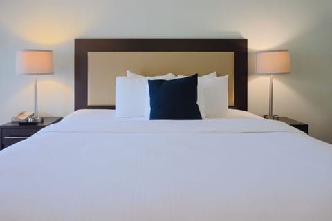 Premium bedding, in-room safe, desk, blackout drapes