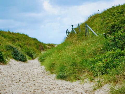 House | Miscellaneous