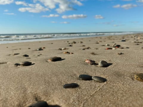 House | Beach