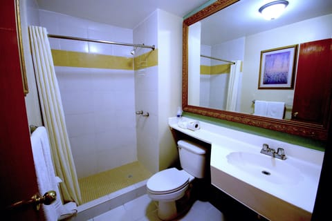 Shower, free toiletries, towels