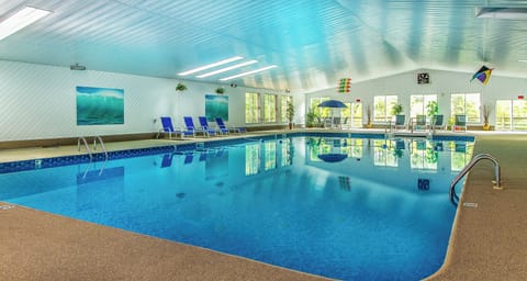 Indoor pool, sun loungers