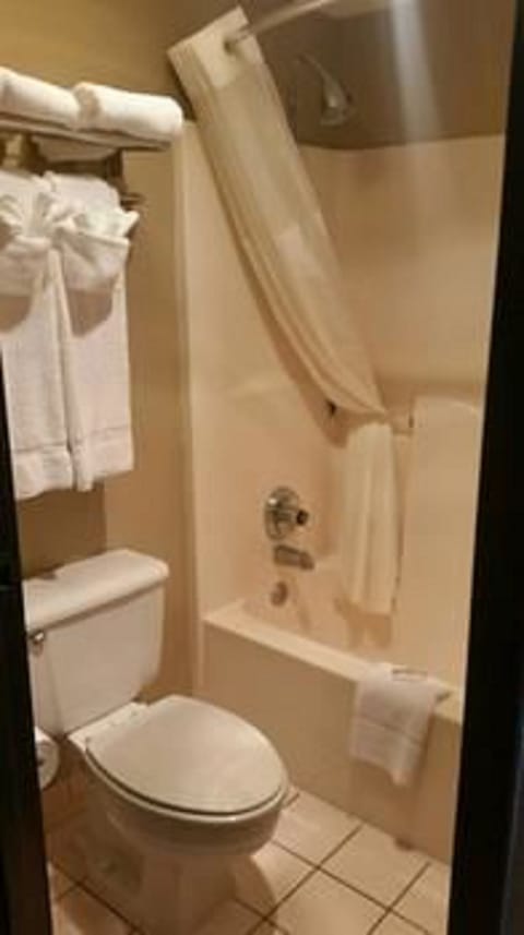 Combined shower/tub, free toiletries, hair dryer, towels