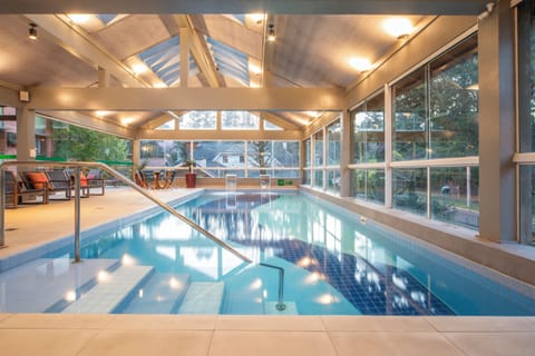 Indoor pool, sun loungers