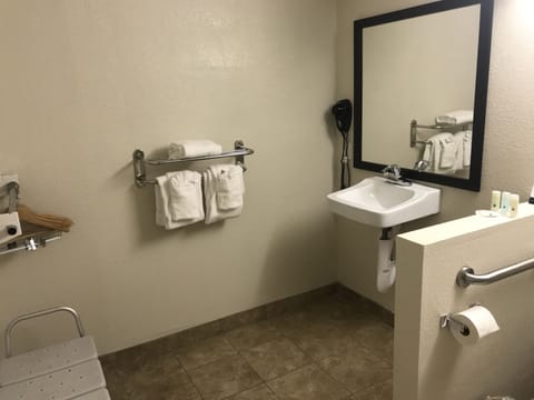 Standard Room, 1 King Bed, Accessible, Non Smoking (Roll-In Shower) | Bathroom sink