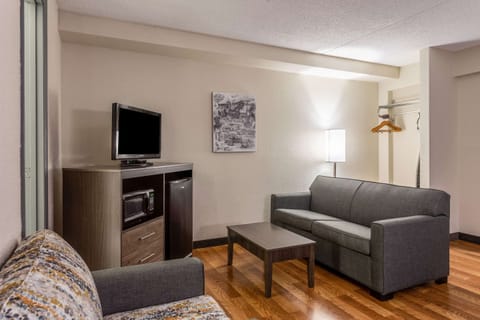 Suite, Multiple Beds, Non Smoking | Down comforters, desk, blackout drapes, iron/ironing board