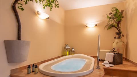 Sauna, steam room, 1 treatment room