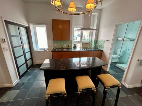 City Penthouse | Private kitchen | Fridge, microwave, coffee/tea maker, electric kettle