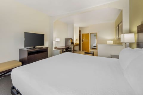 Executive Room, 1 King Bed, Non Smoking | Premium bedding, desk, laptop workspace, blackout drapes