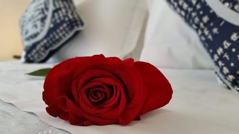 In-room safe, desk, free WiFi