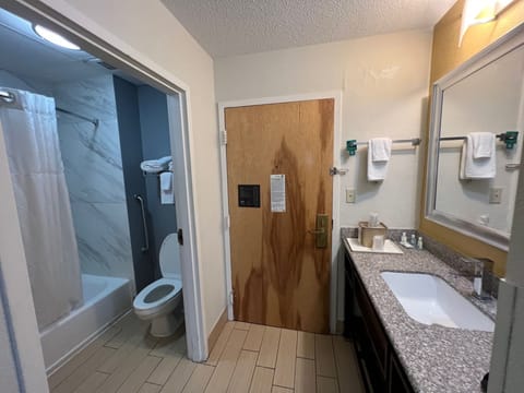 Combined shower/tub, free toiletries, hair dryer, towels