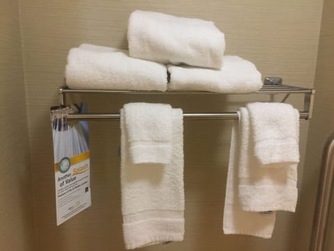 Combined shower/tub, free toiletries, hair dryer, towels