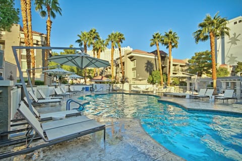 Outdoor pool, sun loungers