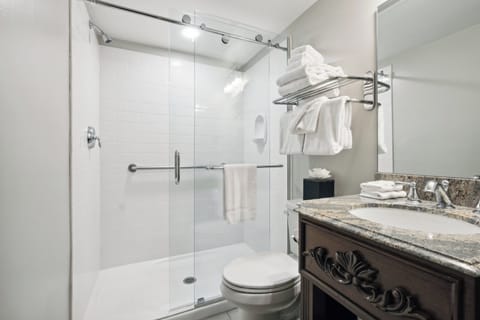 Shower, eco-friendly toiletries, hair dryer, towels