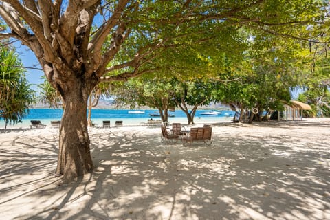 Private beach, white sand, snorkeling, kayaking