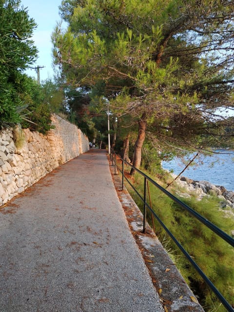 Apartment (One Bedroom Apartment) | Aerial view