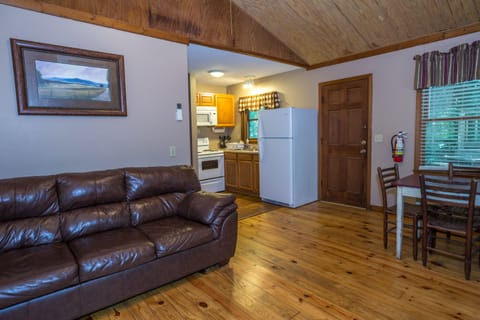 Cabin, 1 Bedroom | Living area | Flat-screen TV, fireplace