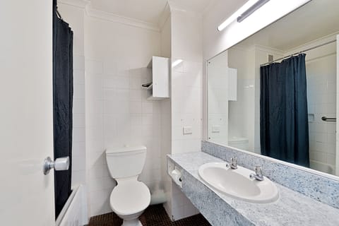 Queen Room | Bathroom | Shower, free toiletries, hair dryer, towels