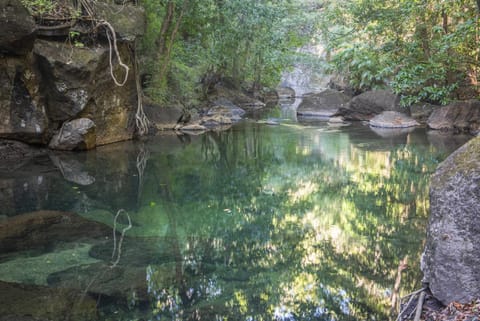 Hot springs