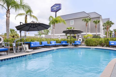 Outdoor pool, sun loungers