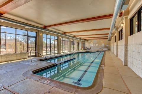 Indoor pool, sun loungers