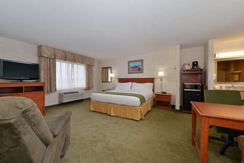 Single Room, 1 King Bed, Accessible, Roll-In Shower | Desk, blackout drapes, iron/ironing board, free WiFi