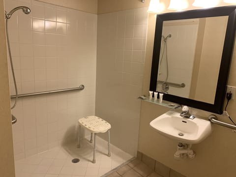 Combined shower/tub, free toiletries, hair dryer, towels