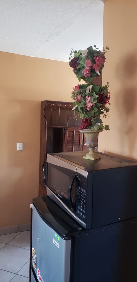 Basic Apartment | Microwave