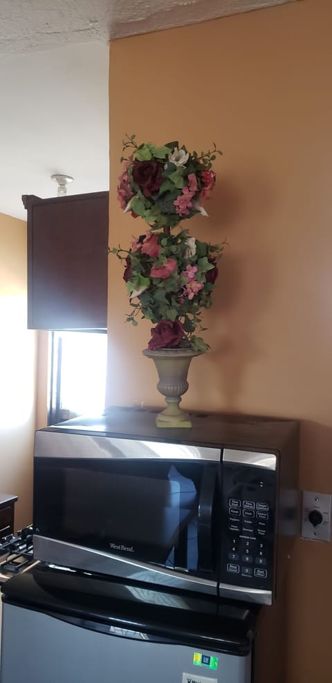 Basic Apartment | Mini-refrigerator