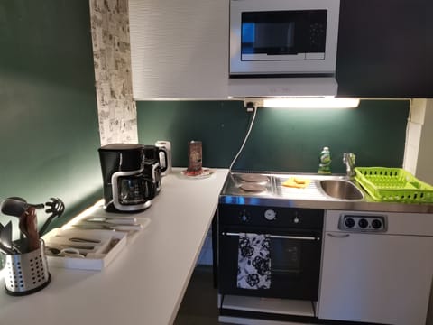 Apartment | Private kitchen | Fridge, microwave, oven, stovetop