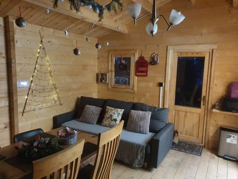 Cabin | Living room | 30-inch TV with digital channels