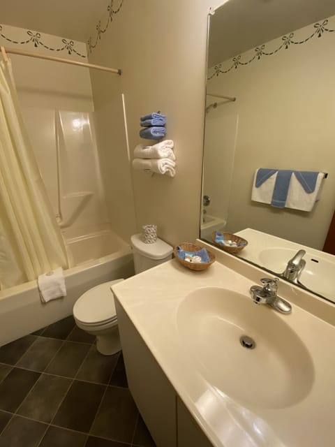 Single Room, 1 King Bed | Bathroom | Deep soaking tub, hair dryer, towels, soap