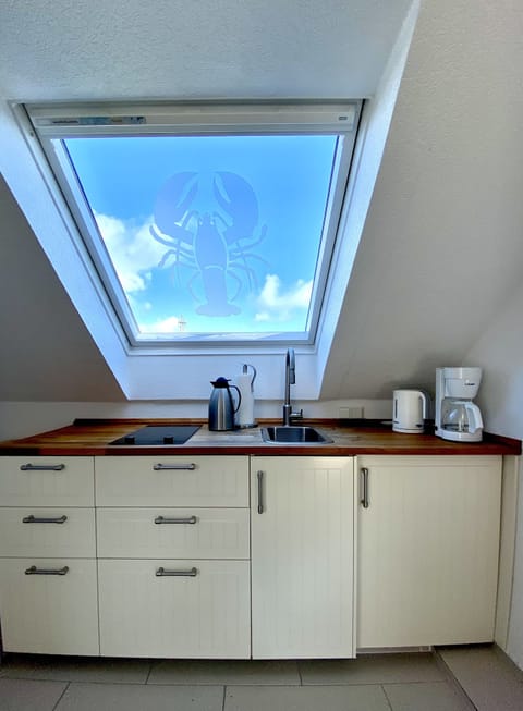 Apartment, 1 Bedroom | Private kitchen | Fridge, stovetop, coffee/tea maker, electric kettle