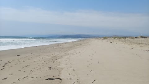 Beach nearby, windsurfing