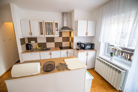 Apartment (One bedroom Apartment 1) | Private kitchen | Fridge, microwave