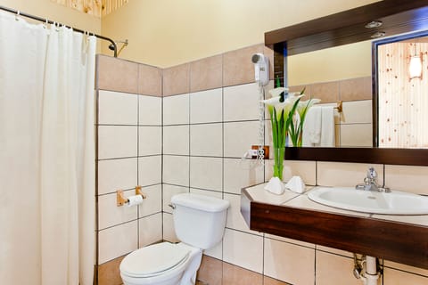 Standard Double Room | Bathroom | Jetted tub, eco-friendly toiletries, hair dryer, towels