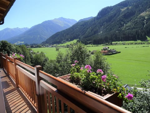 Chalet | View from property